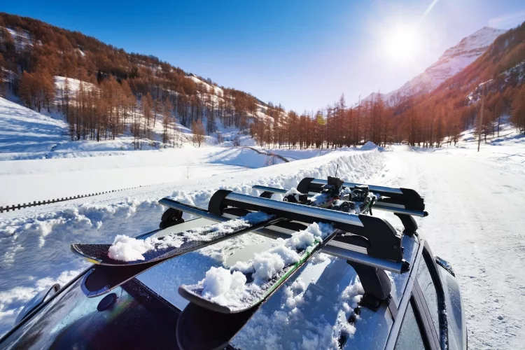  Top 6 Best Ski and Snowboard Roof Racks (Product Reviews) 