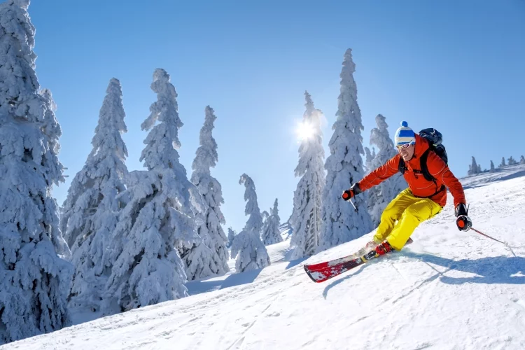 What are the Different Types of Skiing