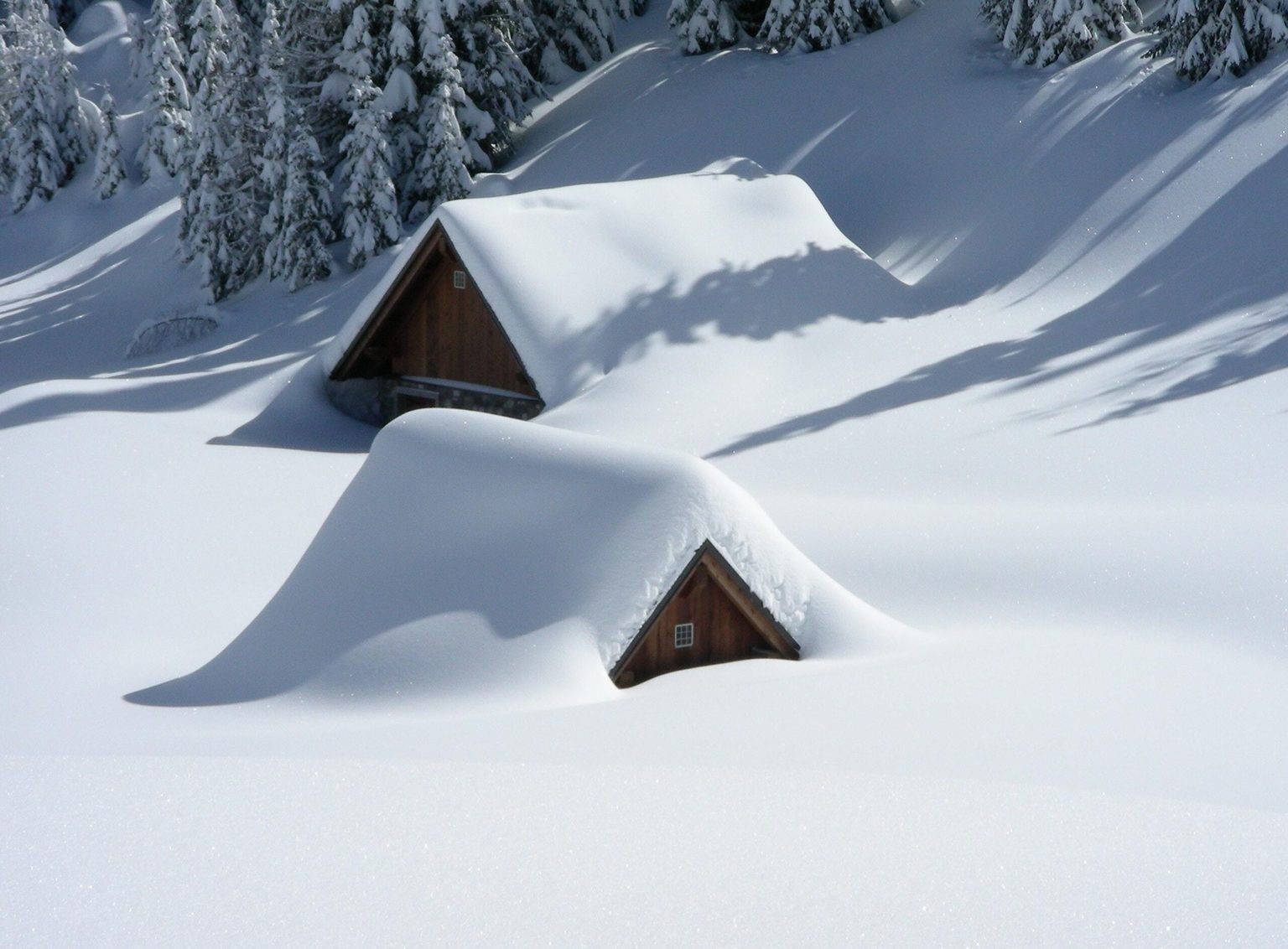 how-much-snow-do-you-need-to-ski-snow-gaper