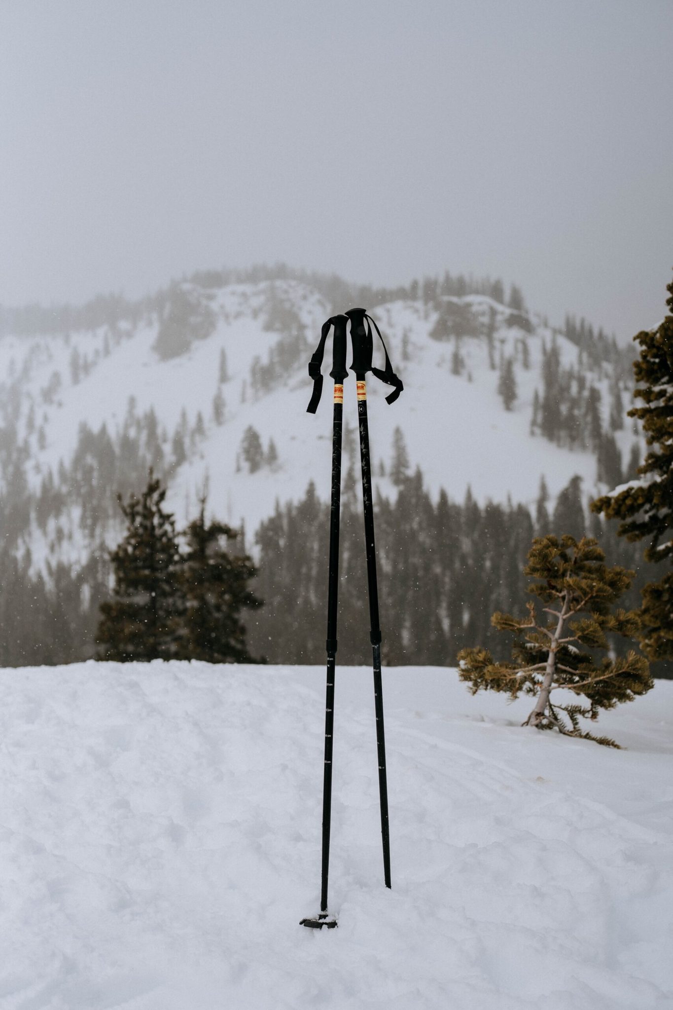 ski poles use